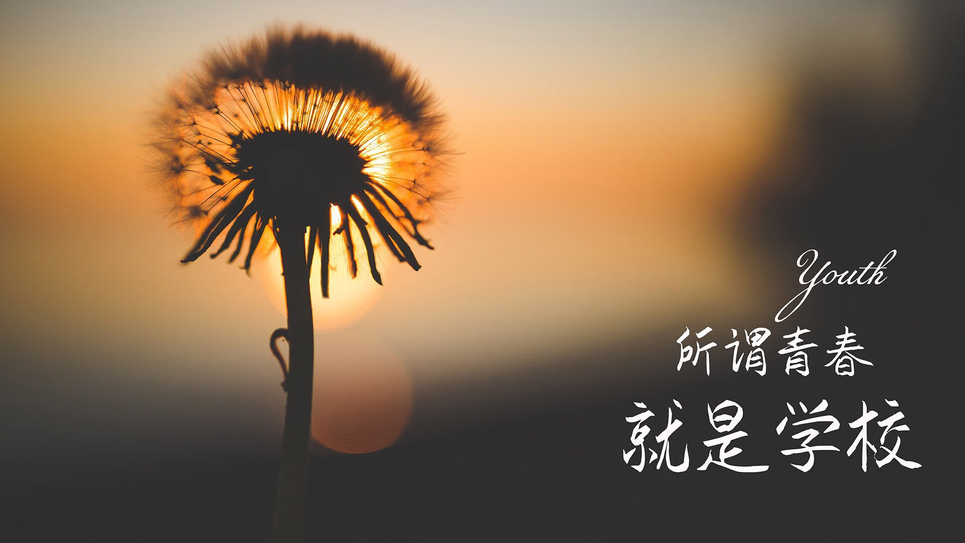 史上最“爆炸”的逆转比赛，真的是“逆天奇迹”！，爆炸翻转星