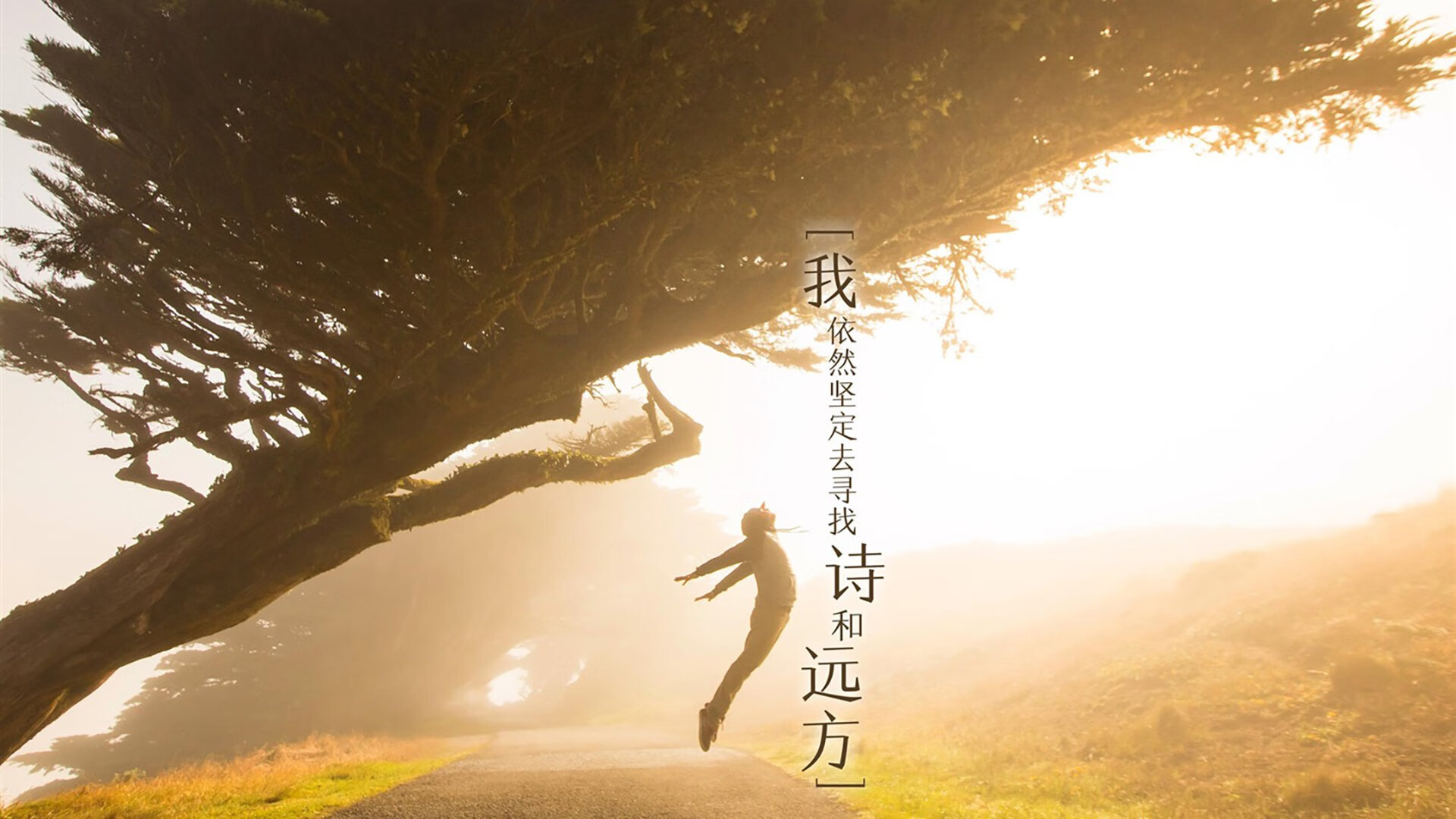 广场舞成为国家文化软实力的重要体现，广场舞文化现象