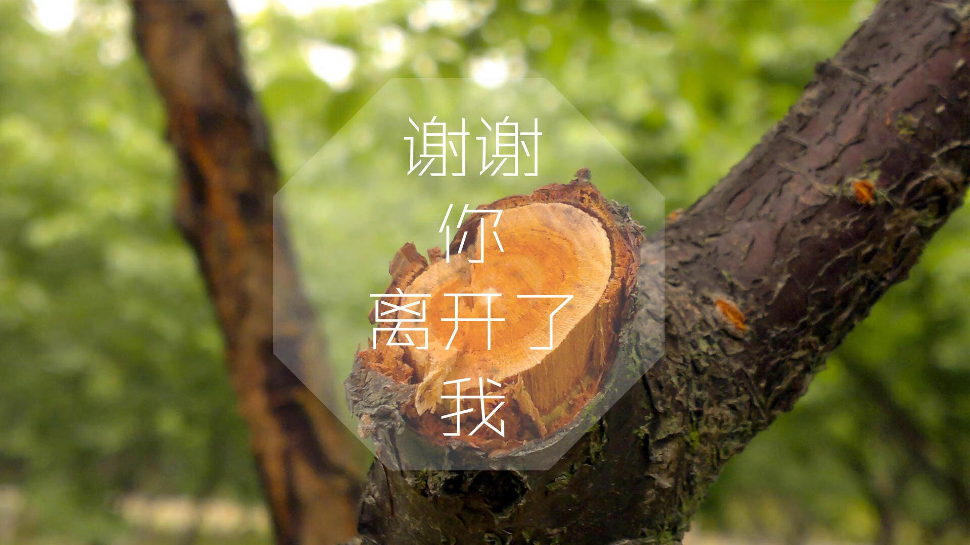 罗马尼亚连败两场，小组出线前景堪忧，罗马尼亚联赛推迟公告