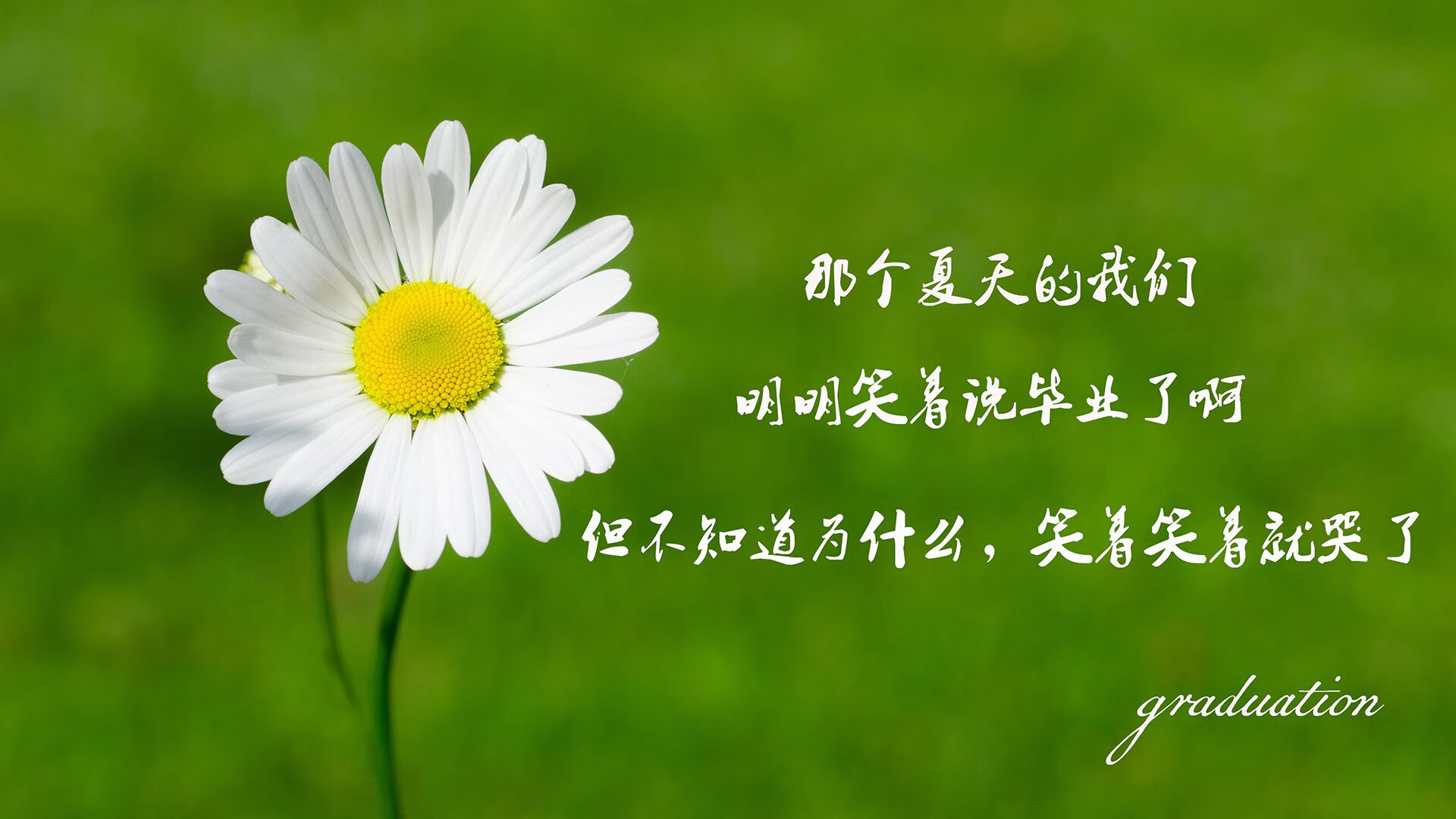 陕西队球员在比赛中取得重要胜利，实力显著增强，陕西足球队队员名单