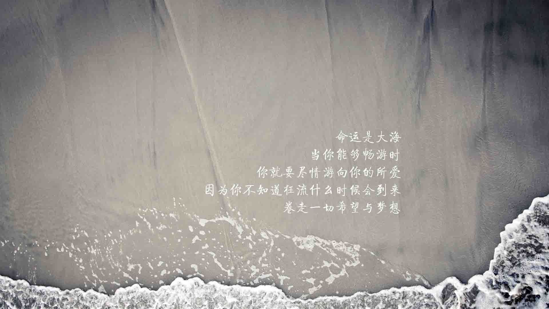 五大联赛争冠与保级大战战术板对比深度剖析，五大联赛争冠形式