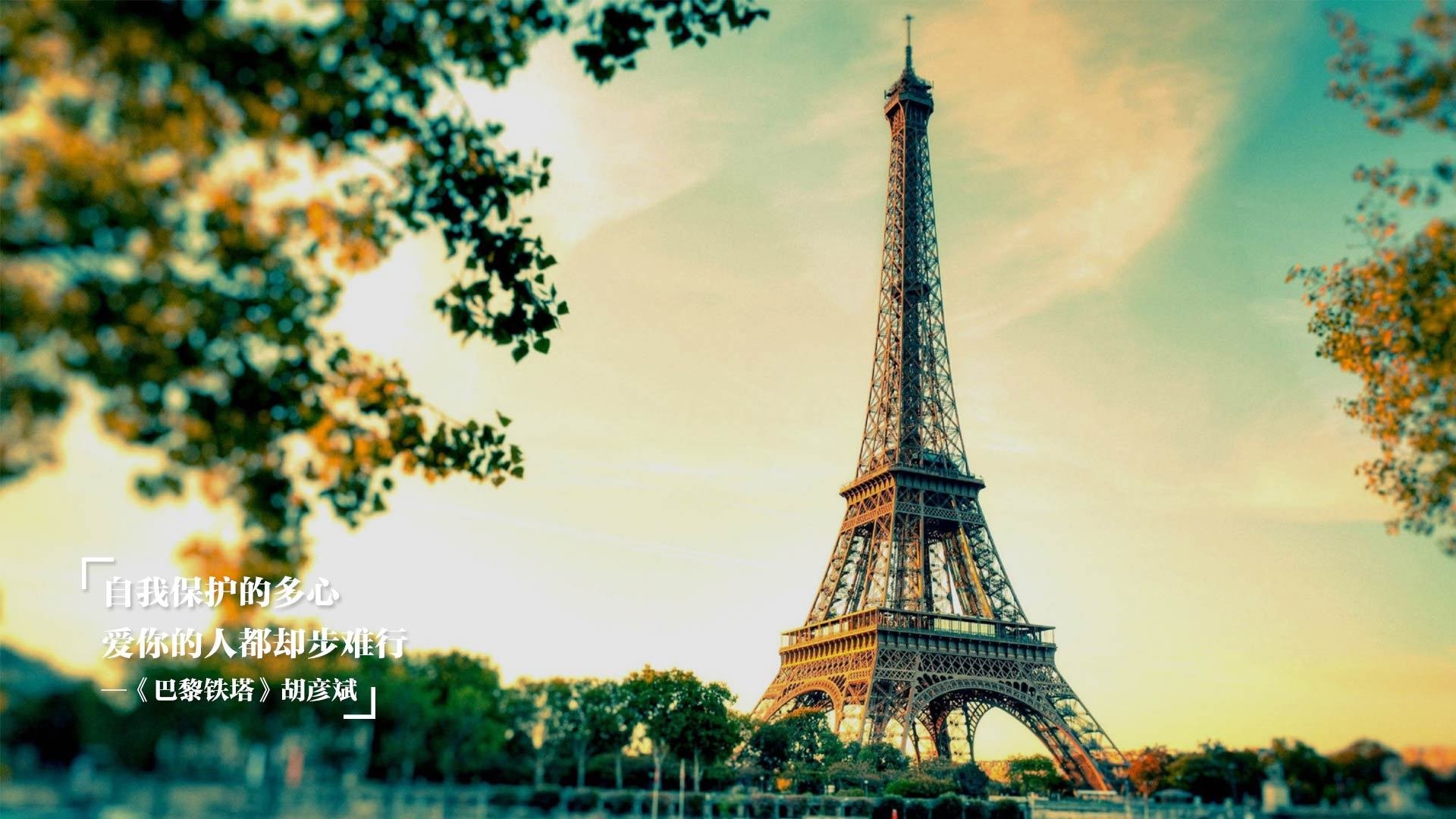 科斯赛场表现引发观众热议，科斯又名科斯姆