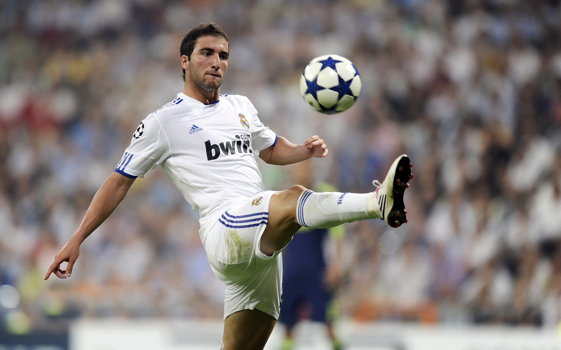 德甲激烈，教练强调战术应用，德甲球员撞教练